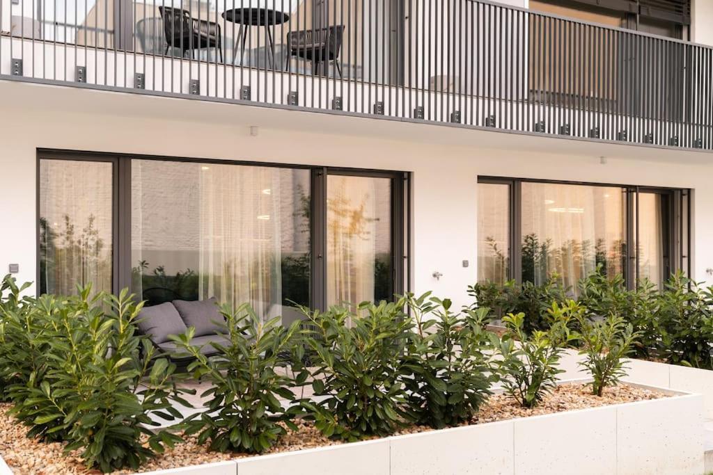 Gold Garden Terrace Apartment برنو المظهر الخارجي الصورة